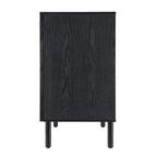 Black Cabinet 2 Door
