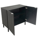 Black Cabinet 2 Door