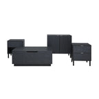 Black Cabinet 2 Door